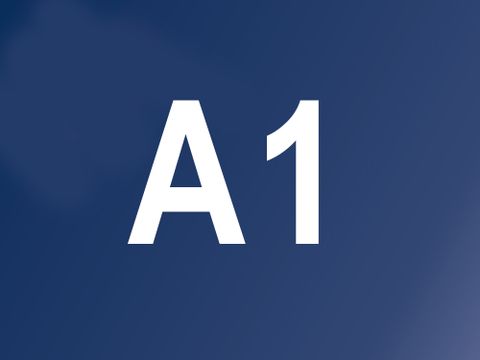 A1
