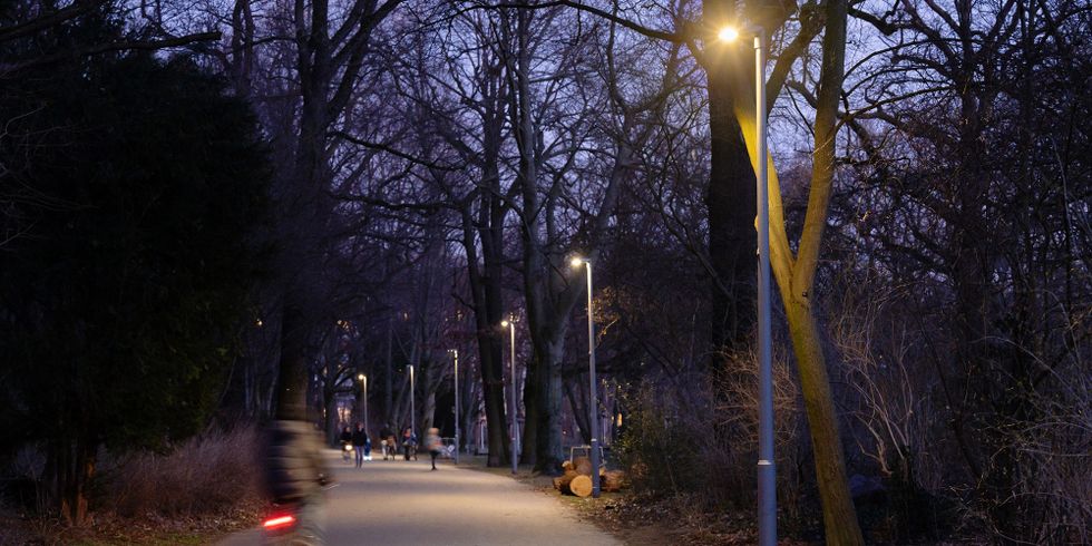 Beleuchteter Weg in der Hasenheide