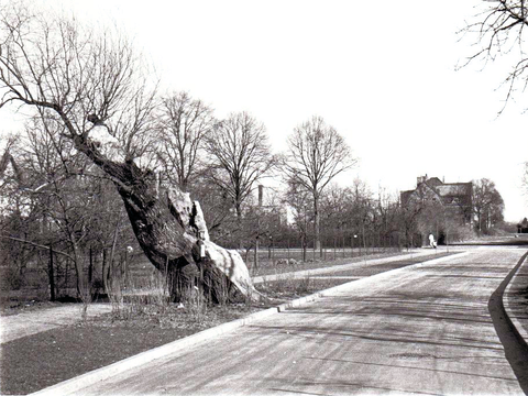 Heilandsweide (Bild: akhm.de)