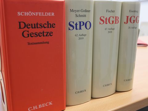 Dienstaufsicht