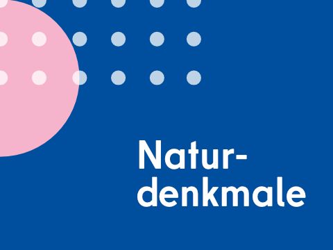 Naturdenkmale