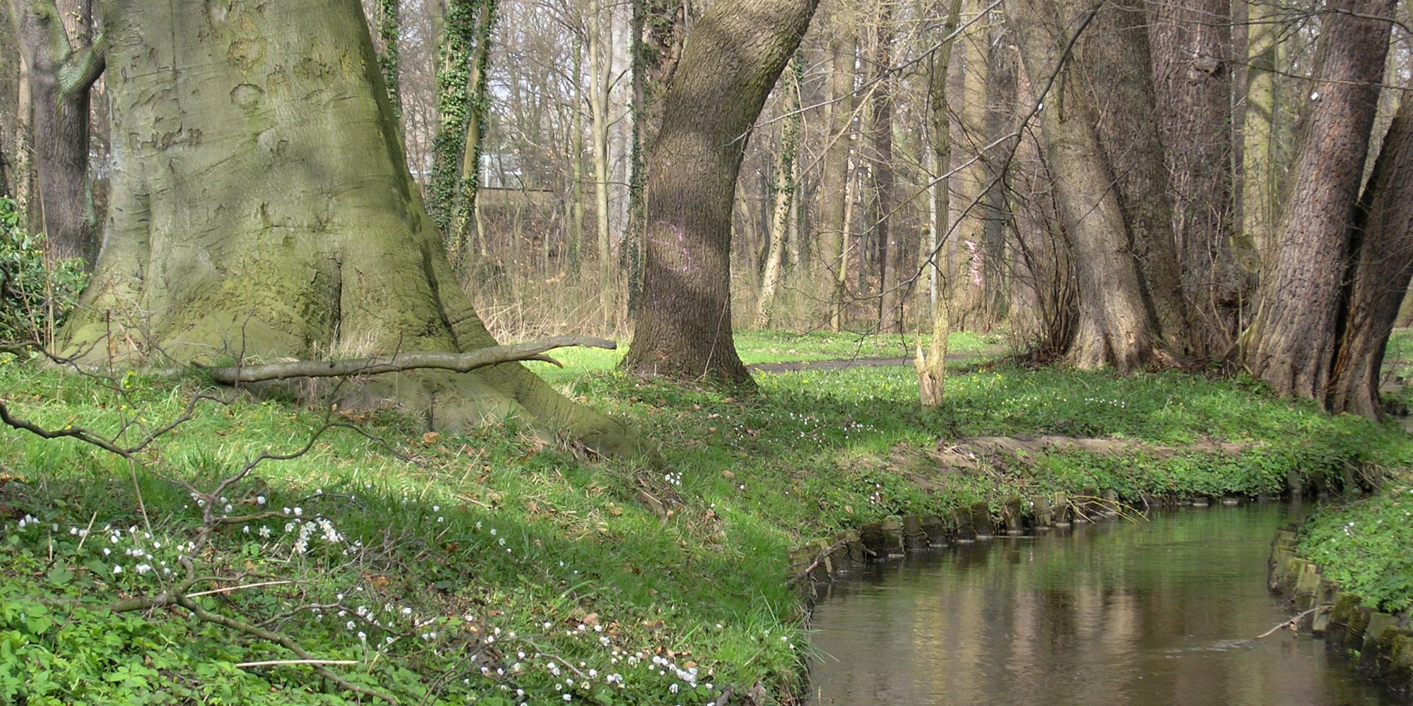 Schlosspark Buch (Bild: SenUMVK)