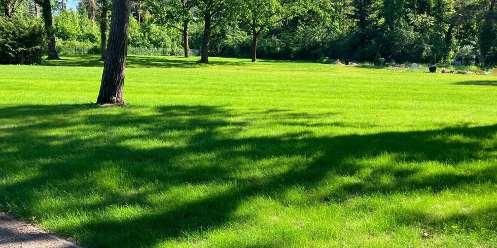 Friedhof Ruhleben, Muslimisches Grabfeld