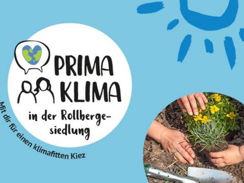 Klimastammtisch in der Rollbergesiedlung