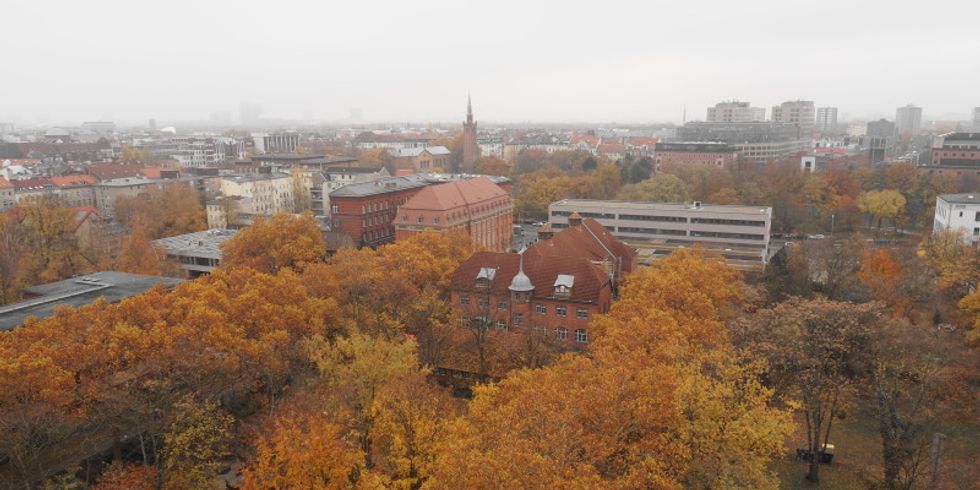 Gelände Turmstraße Herbst