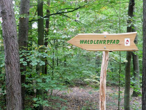 Wegweiser Waldlehrpfad