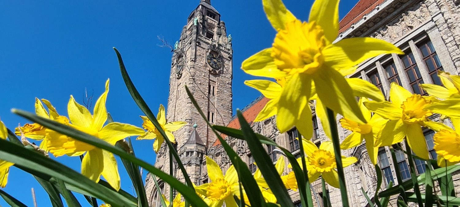 Rathaus Charlottenburg im Frühling 2021