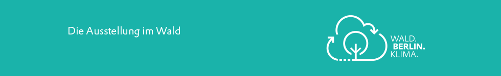 Banner Die Ausstellung im Wald