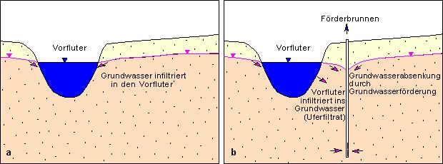 Abb. 4: Infiltration: a) effluente Verhältnisse, b) influente Verhältnisse