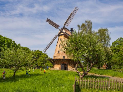 Britzer Mühle- Braune Mühle auf einer grünen Wiese und blauer HImmel. Davor laufen Kinder herum