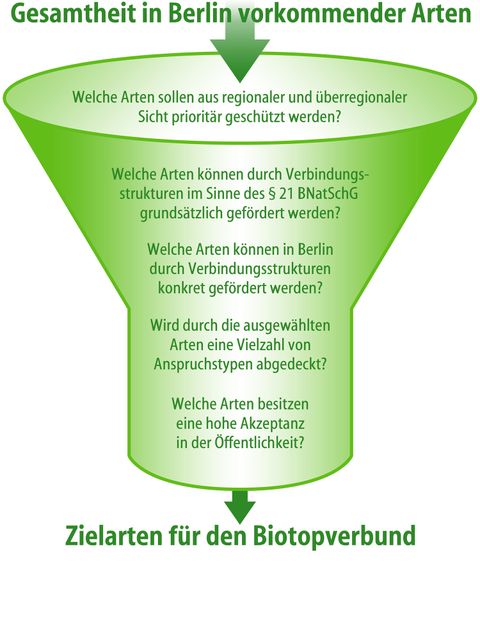 Schema zur Auswahl der Zielarten des Biotopverbunds in Berlin (Bild: SenMVKU)