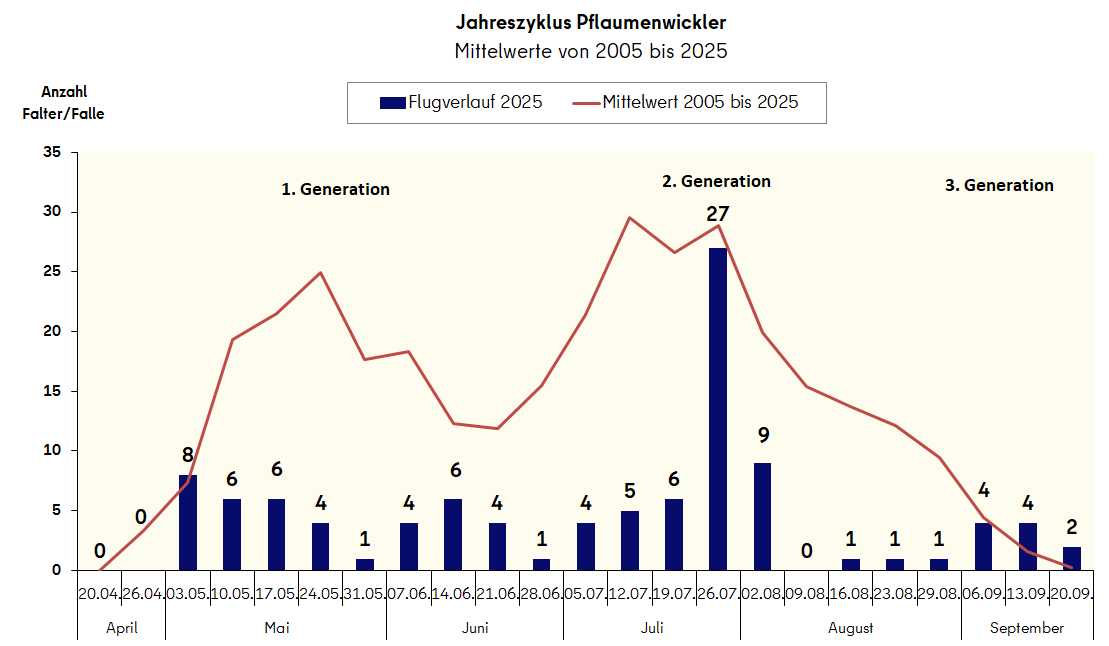 Jahreszyklus des Pflaumenwicklers 2025 im Vergleich mit dem Mittelwert