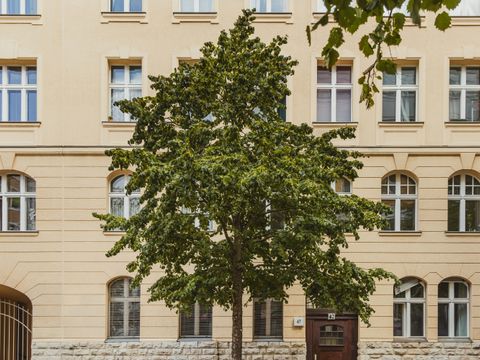 Ein junger Baum vor eine Häuserfassade