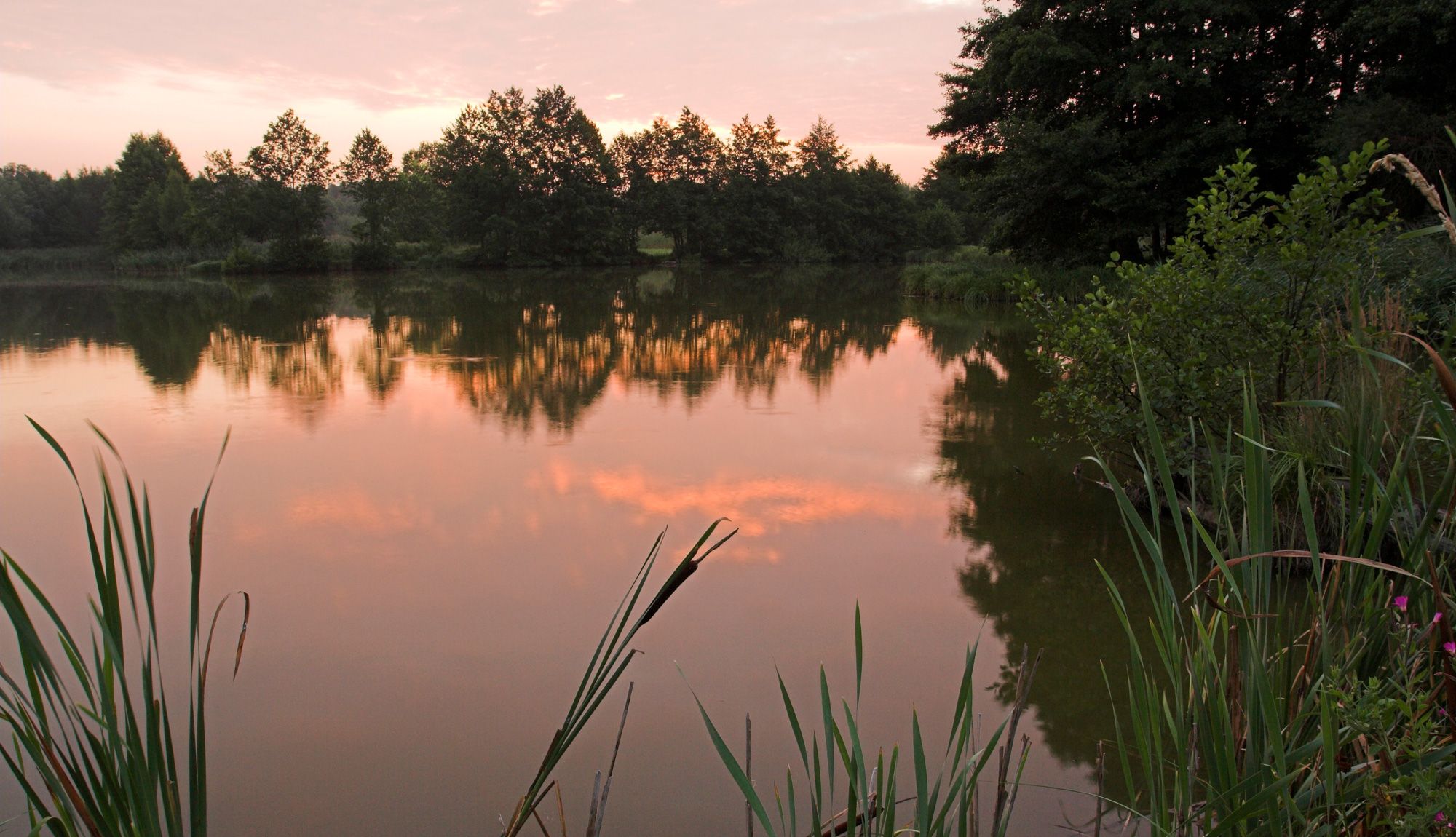  (Bild: Bruno D'Amicis)