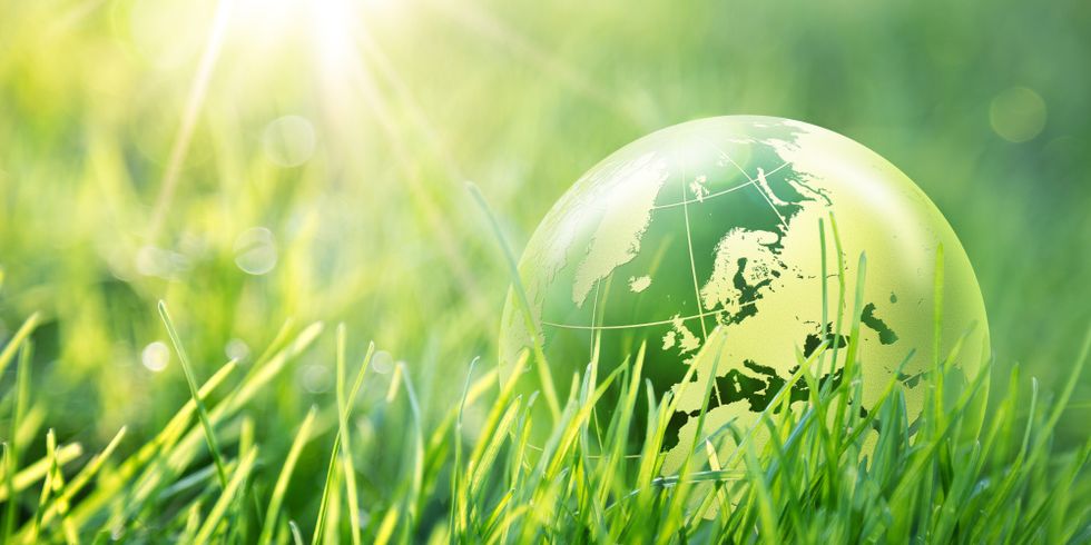 Das Bild zeigt die Erde als gruene Kugel im Gras