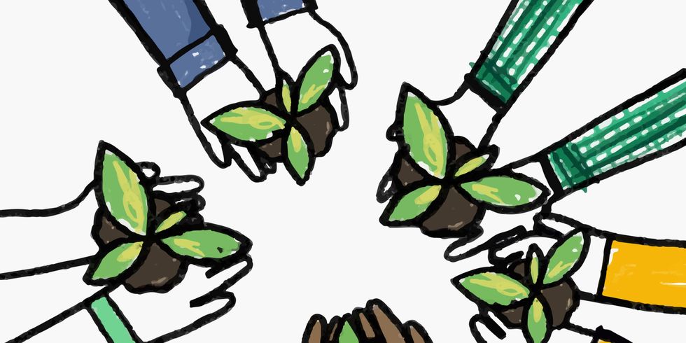 Das Bild zeigt die Hände verschiedener Menschen, die kleine Pflanzensetzlinge in der Hand halten