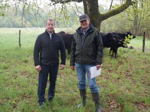 Bezirksbürgermeister Frank Balzer (CDU/links) und Landwirt Helmut Querhammer beim Weideauftrieb der Wasserbüffel (Bild: BA Reinickendorf )