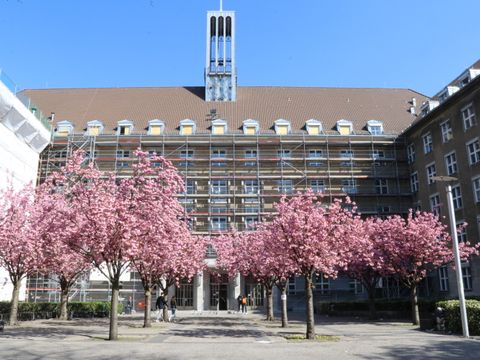 Rathaus Tiergarten Gerüst
