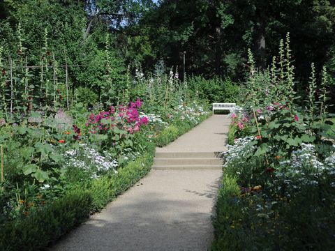Ein besonderer Blick in den Garten Liebermann
