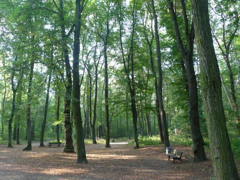 Heinrich Laehr Park 1