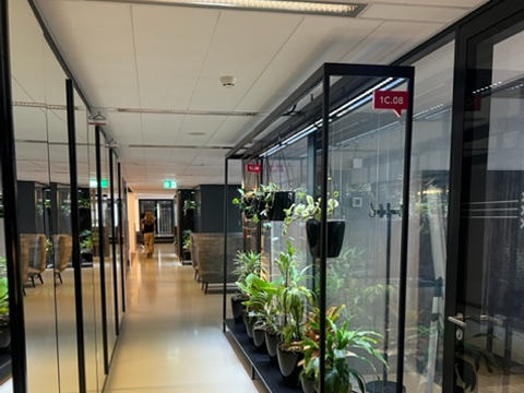 Büroräume Stopera (Bild: Tanja Schulz)