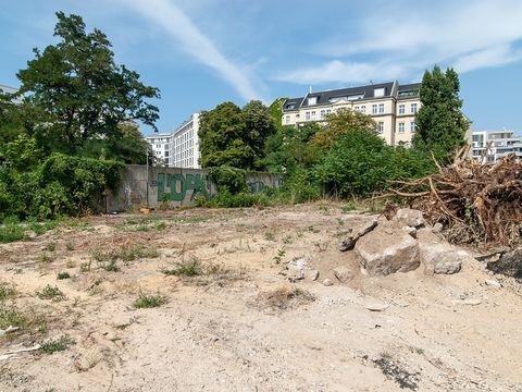 Mauerrest an der Ida-von-Arnim-Straße (Bild: Landesdenkmalamt Berlin, Wolfgang Bittner)