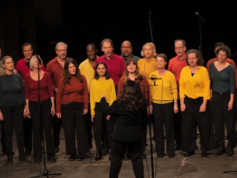 Brasil Ensemble Berlin Chor
