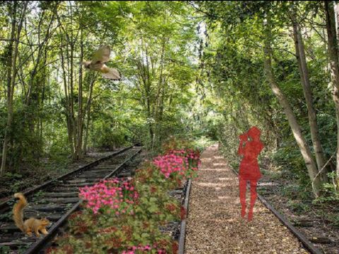 (Bild: Prof. Dr. Nicole Uhrig)