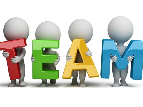 3D Team