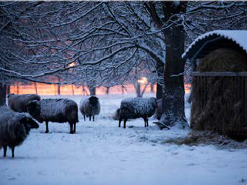 Landschaftspark Herzberge