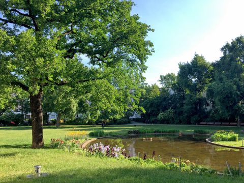 Grünanlage Weberwiese