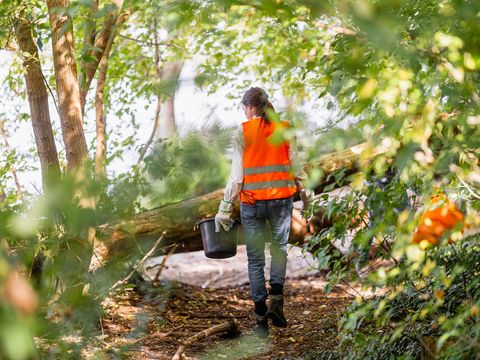 Clean-up Aktion im Wald