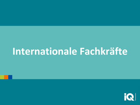 Teaser Internationale Fachkräfte