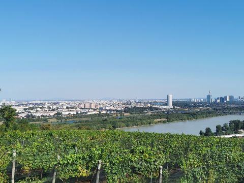 Aussicht über Wien