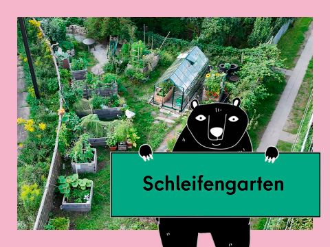 Vorschaubild für das Video Gemeinschaftsgärten in einer Kleingartenanlage: der Schleifengarten in Prenzlauer Berg. Abgebildet sind Beete neben Straßenbahngleisen.