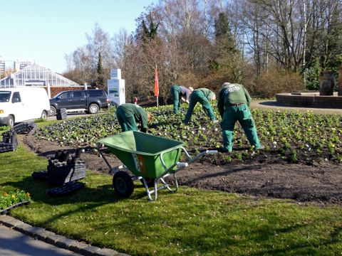 Neupflanzungen in den Gärten der Welt