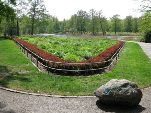 Der Südpark im Mai 2019: Schmuckpflanzung mit Stauden und Heckeneinfassung aus Berberitze