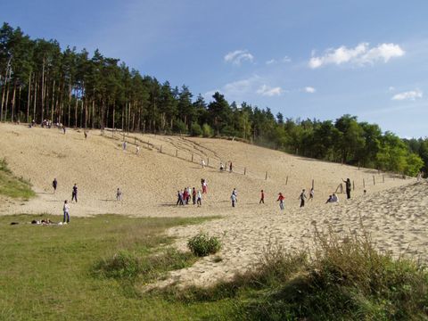 NSG Sandgrube im Jagen 86 des Grunewaldes, Sanddüne