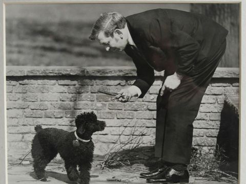 Mensch mit Hund