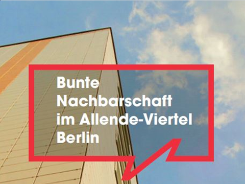FEIN Allende Ausschnit Plakat