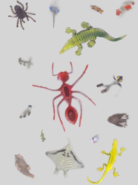 "Heritage", 2021 (Bild: Moritz Haase)