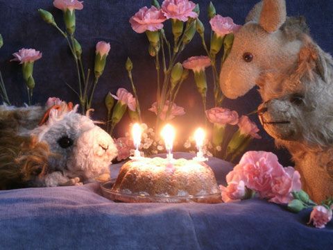 Puppen des Puppentheaters Burtstag