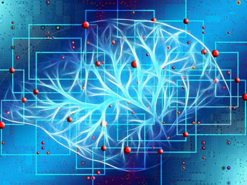 Nervenbahnen mit Knotenpunkten