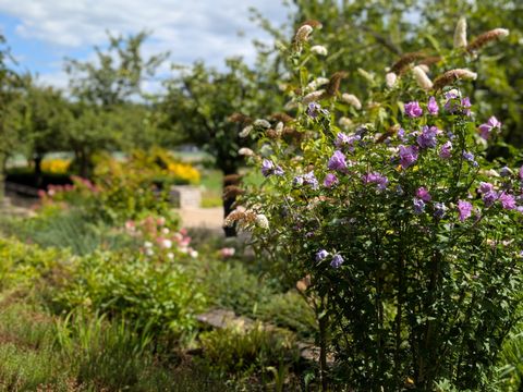 Staudengarten Volkspark Mariendorf