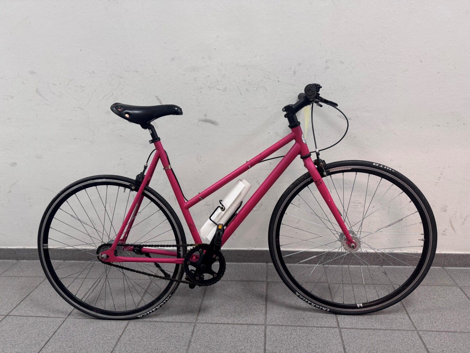 Rotes Daemenfahrrad