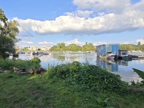 Neupflanzungen und das Einbringen von Ästen der vor Ort entnommenen Pappeln und Weiden ließen dort vielfältige Biotope entstehen