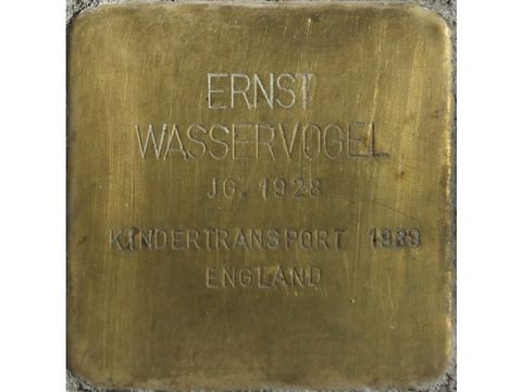 Stolperstein Ernst Wasservogel (Bild: Stolpersteine-Initiative CW, Hupka)