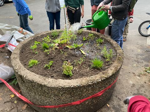 Der große Blumentopf wird von einem der Teilnehmer*innen gegossen