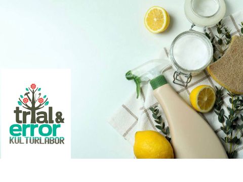 Blick von oben auf einen Tisch mit Zitronen, einer Sprühflsche und einem Glas mit Salz