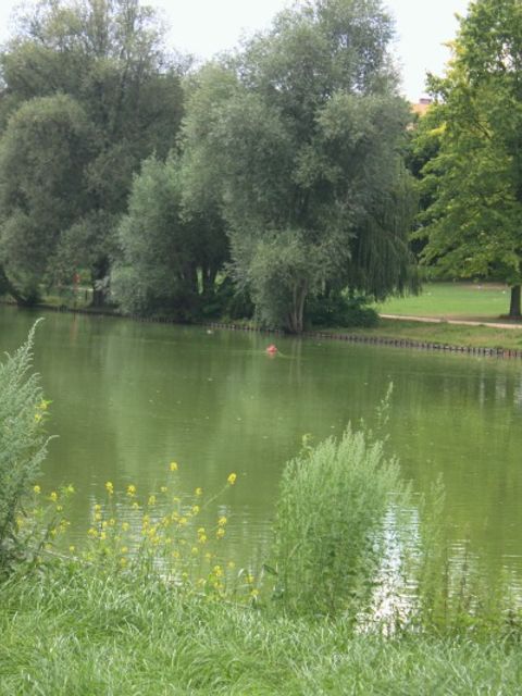 Ansicht des Sees im Volkspark Mariendorf